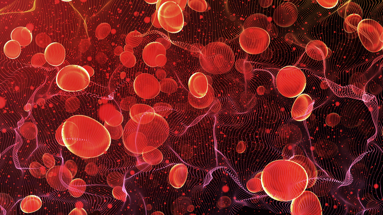 Red Blood Cells in the Artery